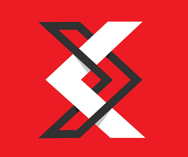 Stylish Line Logo