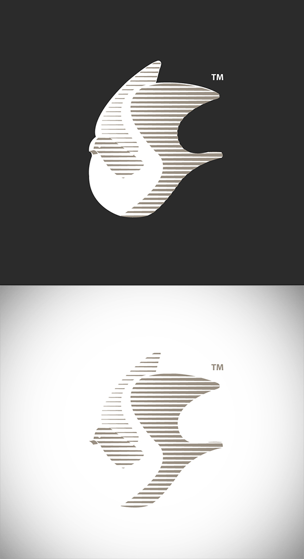 Tetouan Creative | Logo Consept