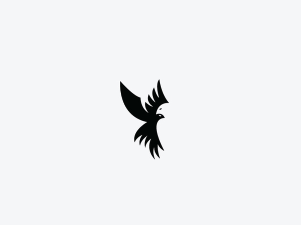 Bird Space Logo Design