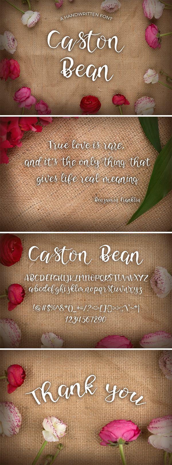 Caston Bean Font