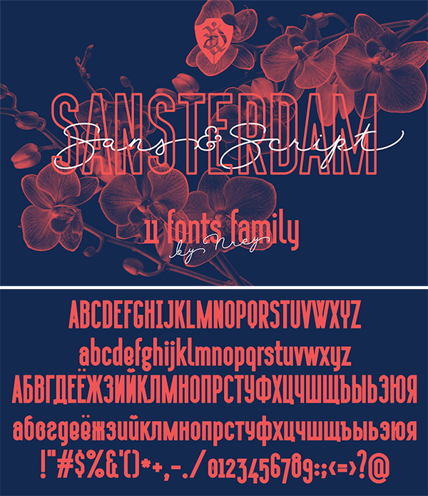 Creative Sansterdam Family