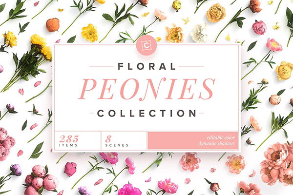 Floral Peonies Collection
