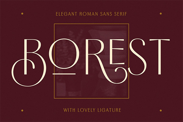 Borest - Elegant Roman Sans Serif