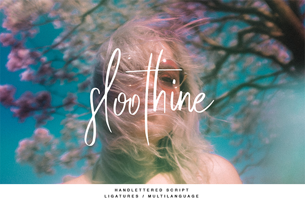 Sloothine By TJ Creative