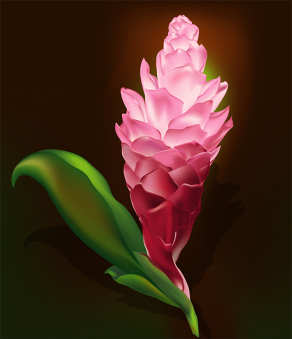 Illustrator Tutorial: Gradient Mesh Flower