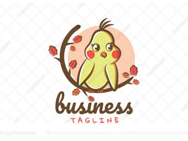 Cute Cockatiel Logo Design