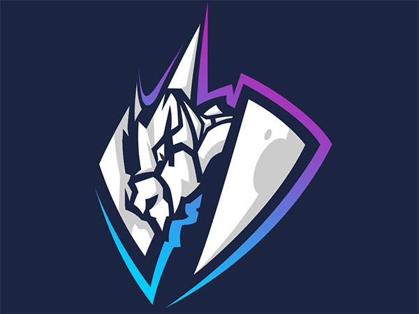 Dragon Shield Logo Design