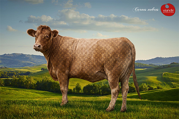 Noble Cow