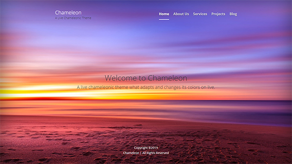 Chameleon - Adaptive WordPress Theme