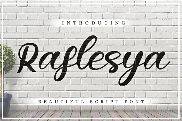 Raflesya - Modern Script Font