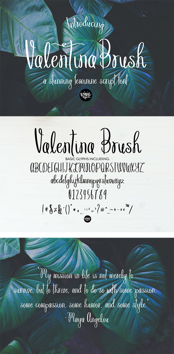 60 Best Brush Fonts For Graphic Designers - 57
