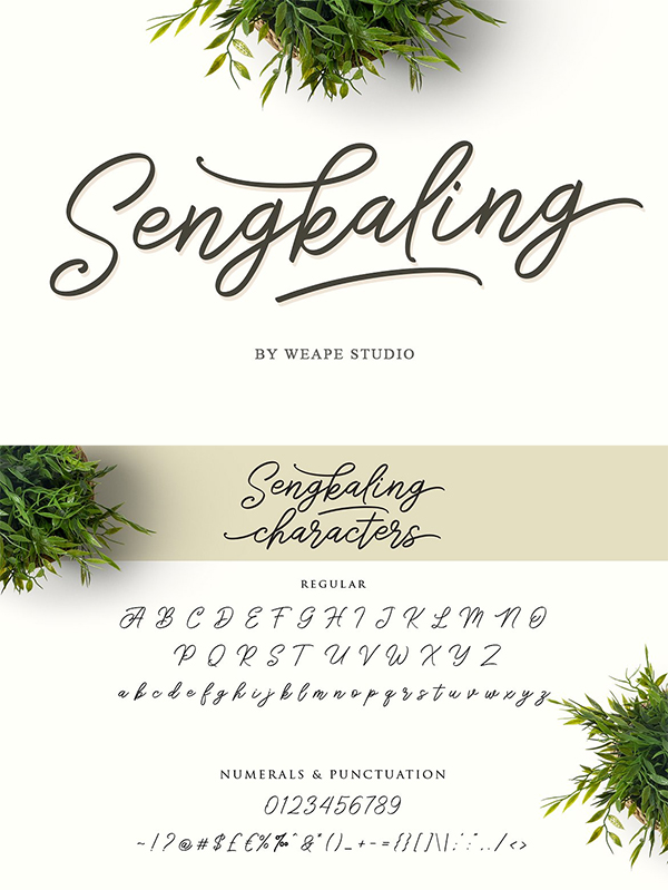 Stylish Sengkaling Script Font