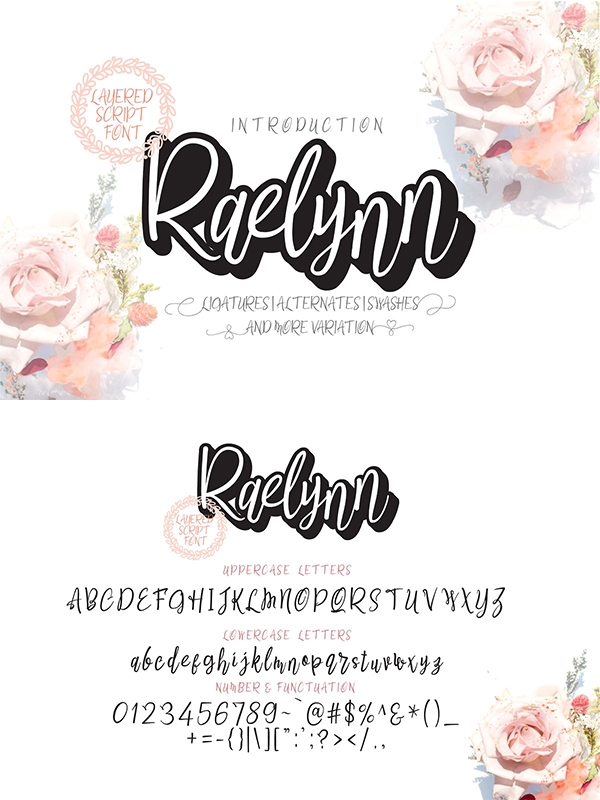 Raelynn Regular | Modern Script Font