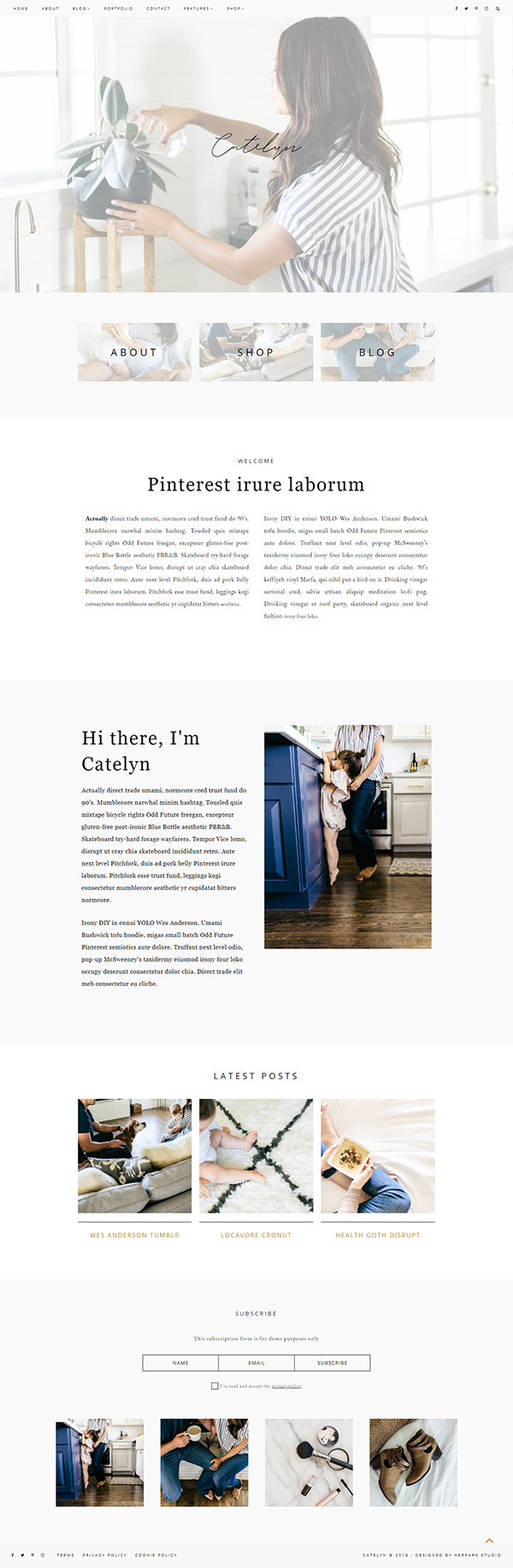 Catelyn - Blog + eCommerce Theme