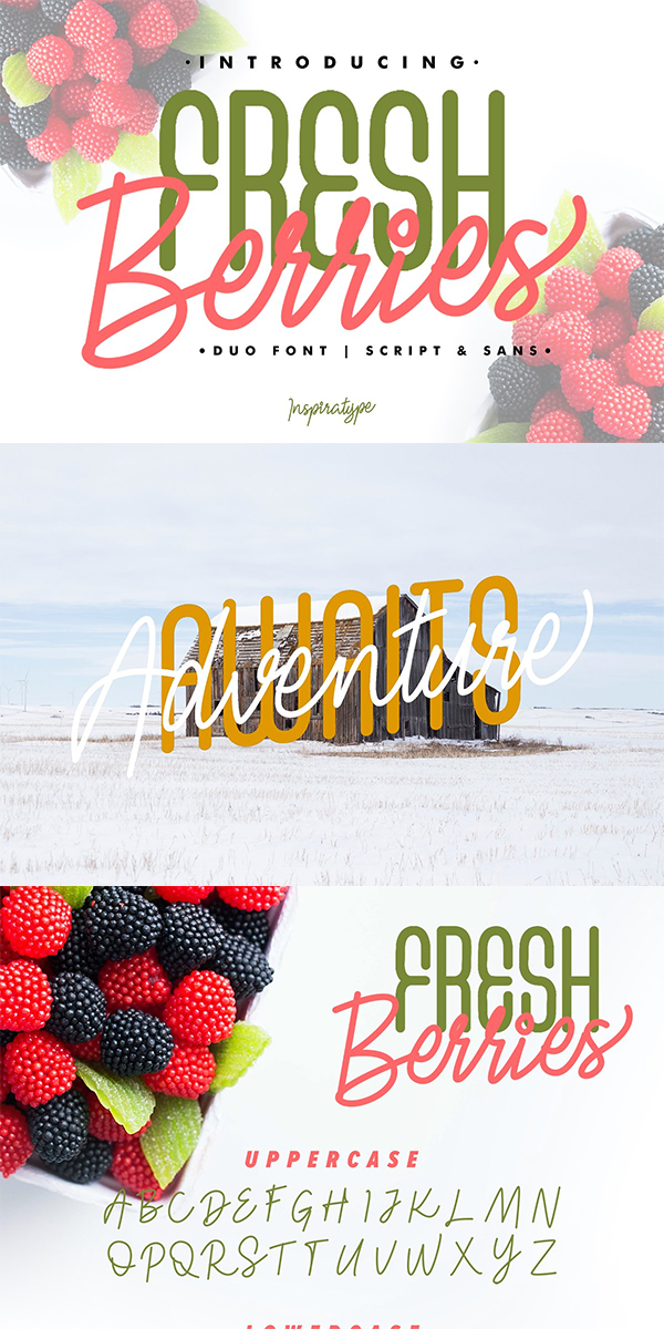 Fresh Berries - Script & Sans Font