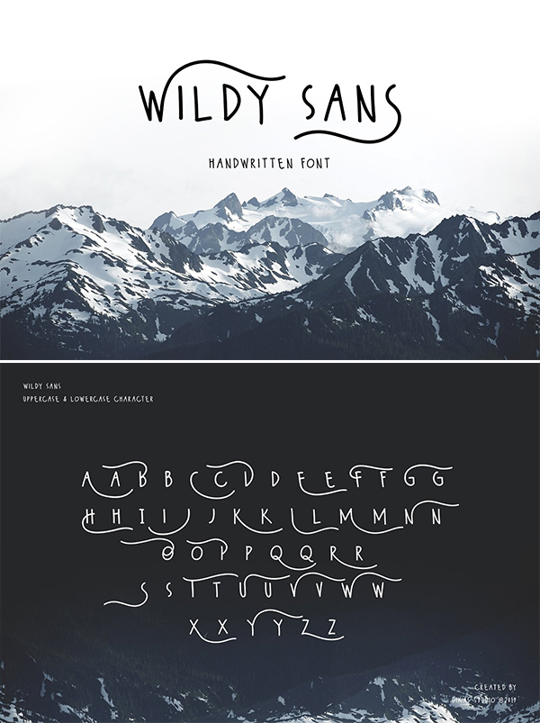 Wildy Sans Font