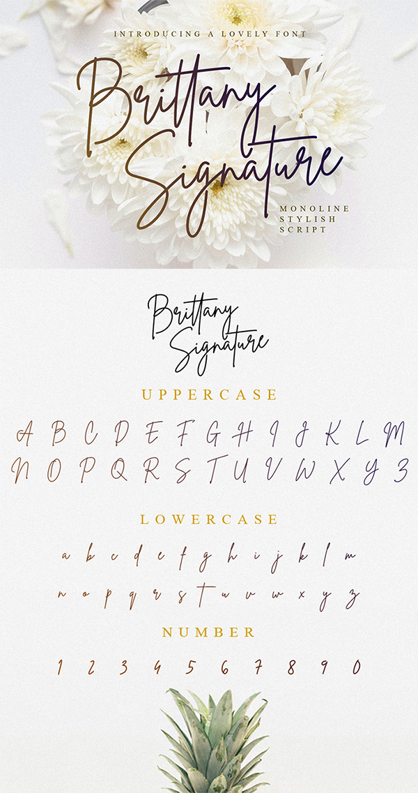Creative Signature Style Script Free Font