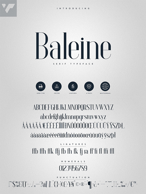 Baleine - Serif Typeface