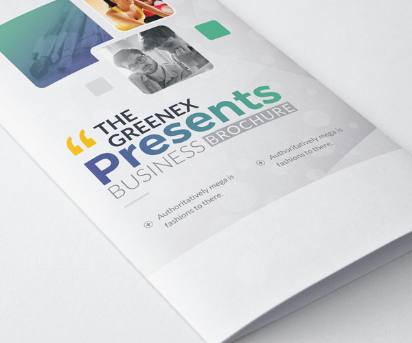 tri_fold_business_brochures