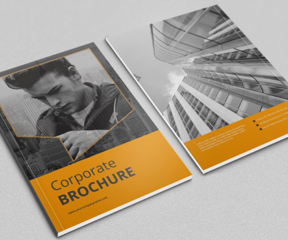 multi_purpose_brochure_thumb