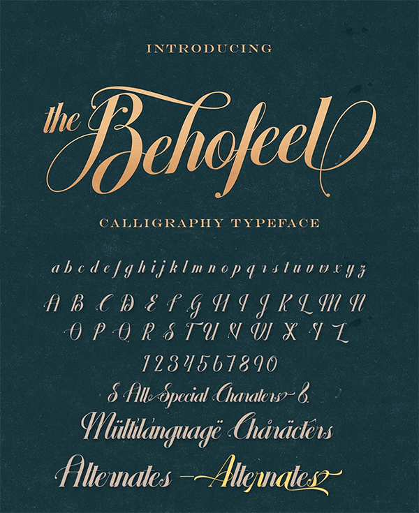 Behofeel Decorative Script Font