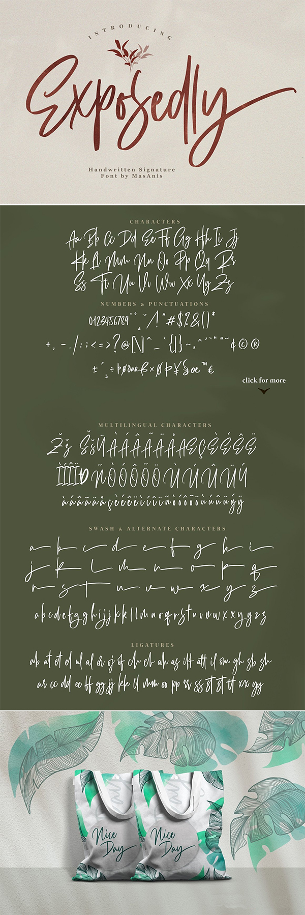 Exposedly // Signature Script Font