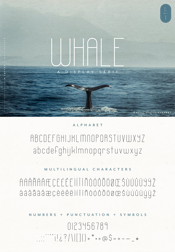 Whale Quirky Display Sans Serif