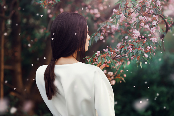 How to Create a Sakura Petals Brush in Photoshop