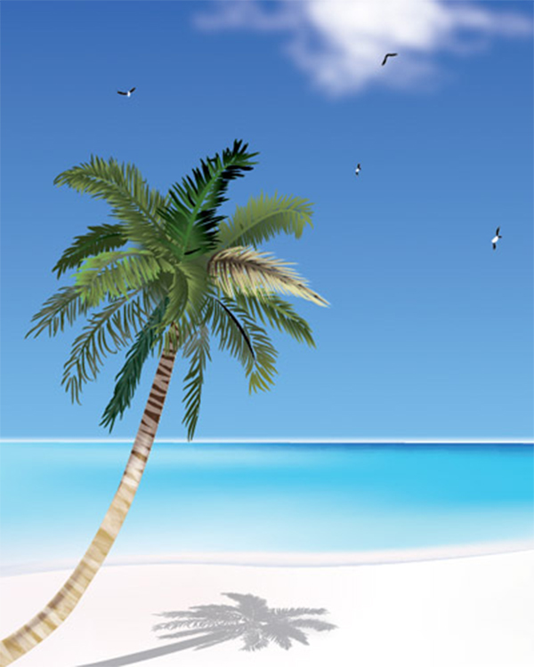 Coconut Tree & the Beach