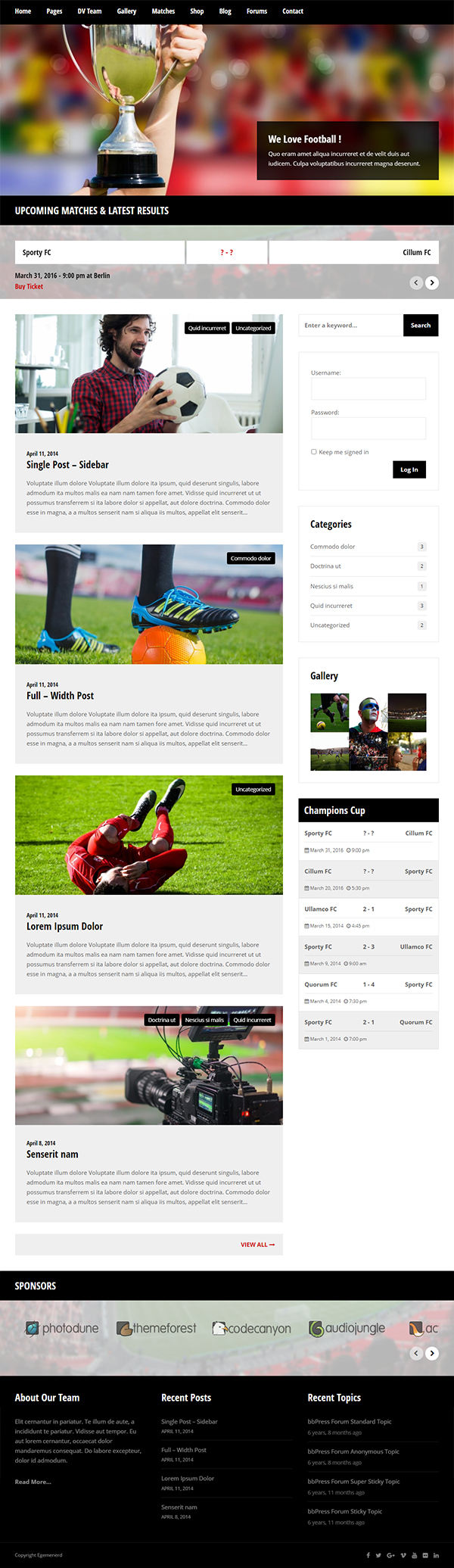 Sporty Responsive WordPress Theme for Sport Clubs