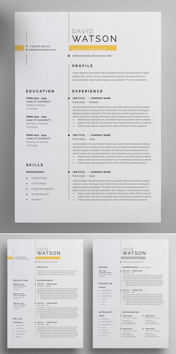 Modern and Professional Resume