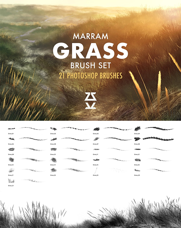 Marram Grass Brush Set