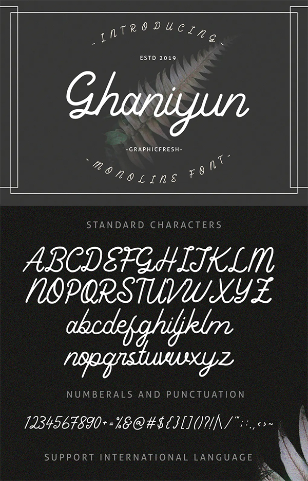 Ghaniyun Monoline Font