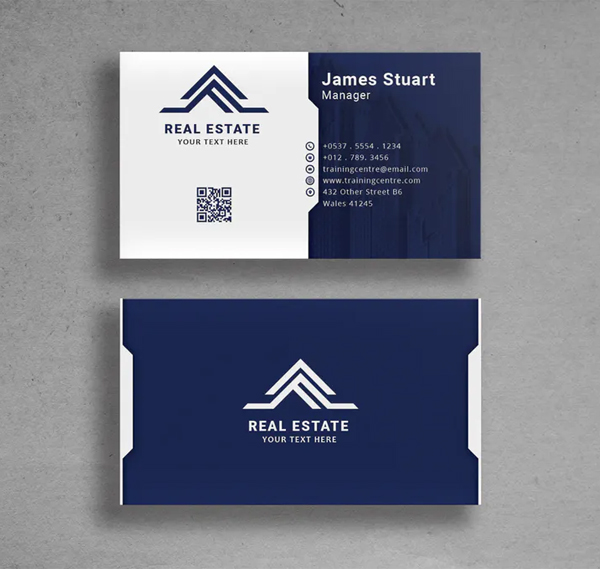 Business Card Design Professional