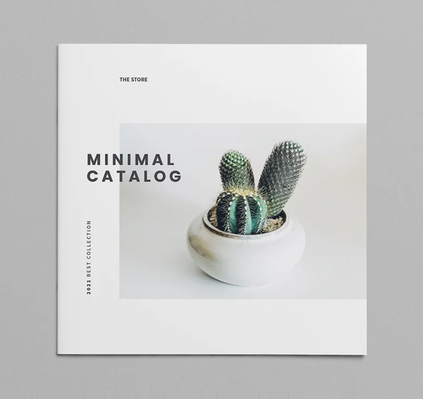 Catalog Brochures Design